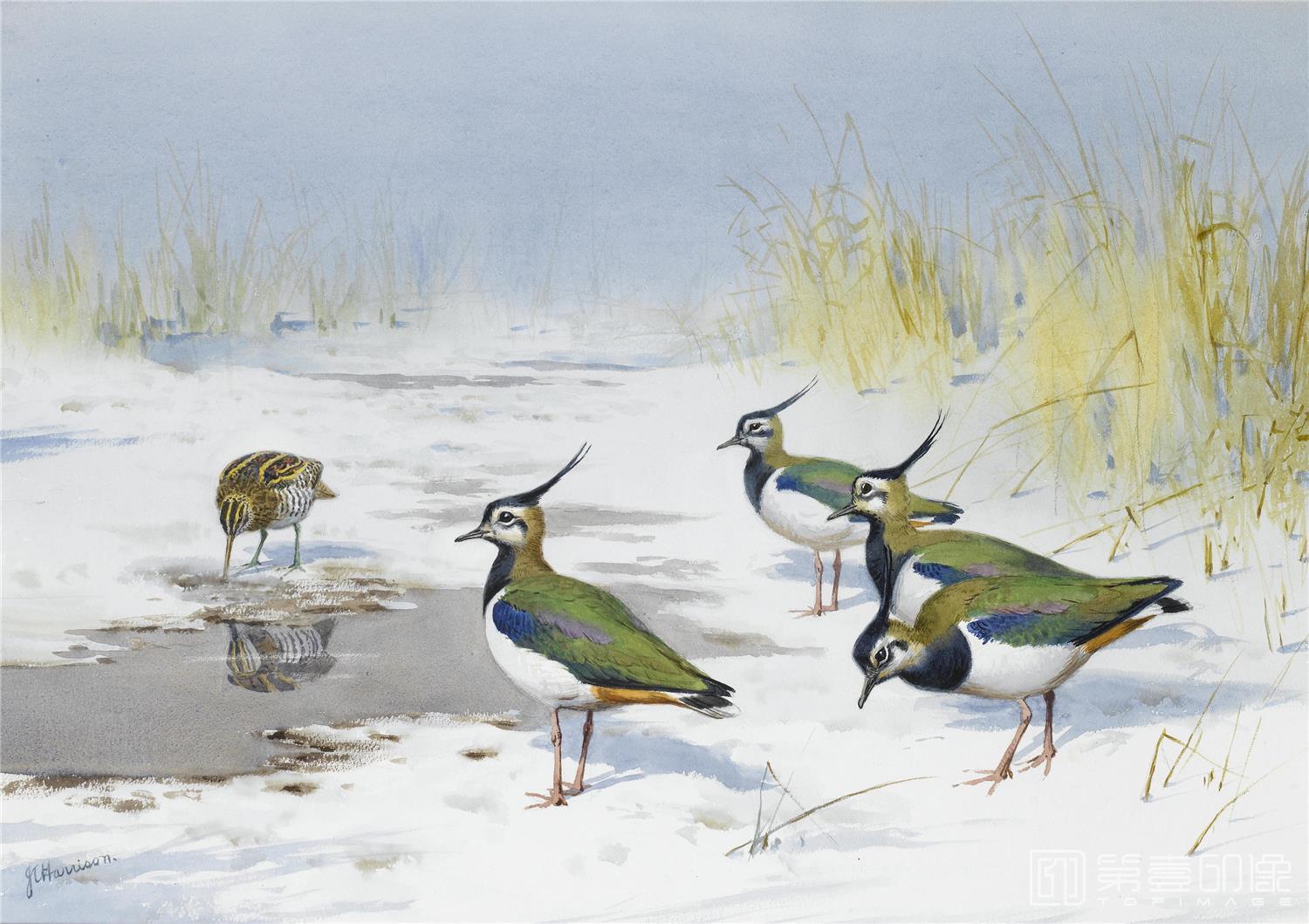 油画-约翰.赛里尔·哈里森 John Harrison作品集-080
